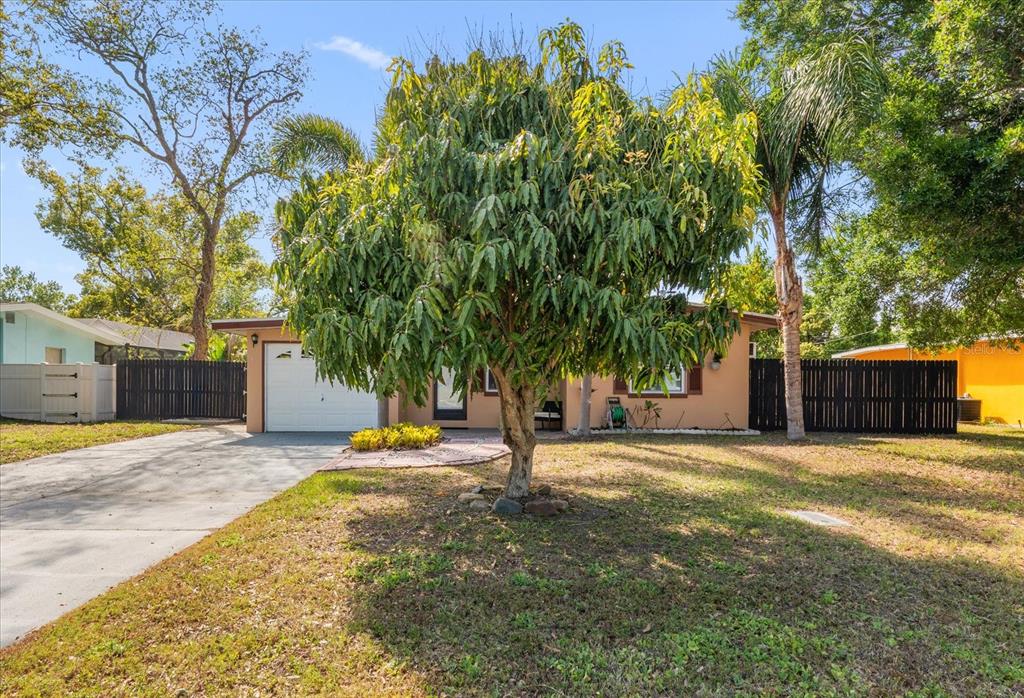 611 11th Street Northwest Largo, FL 33770 - Photo 36 of 37 a view of a tree in front of a house