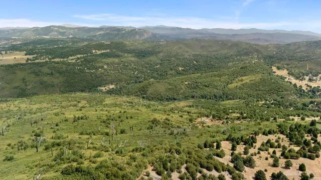 a view of a lush green hillside and houses