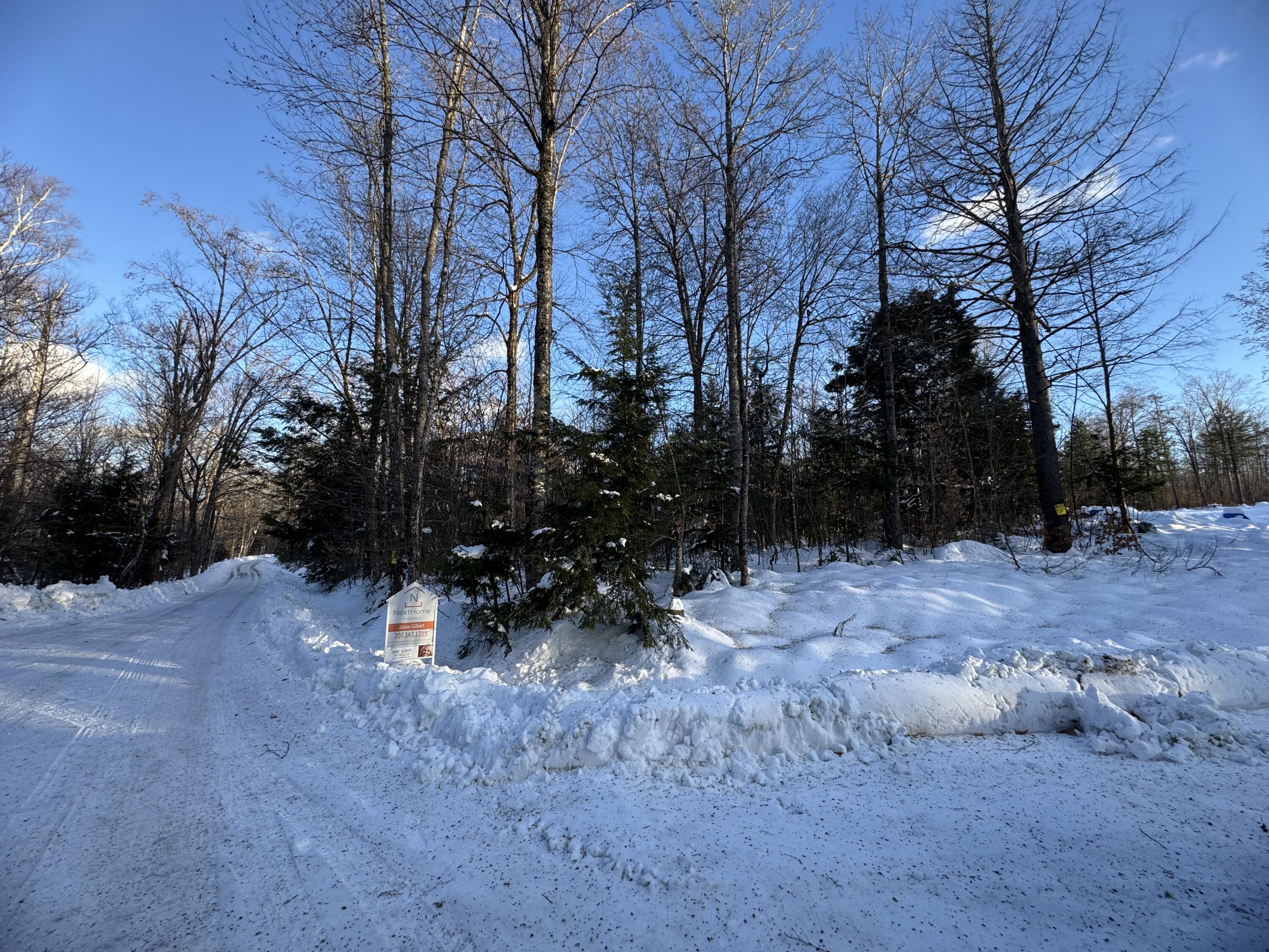 Map7-lot7 South Shore Road Abbot, ME 04406 - Photo 26 of 28 IMG_9006