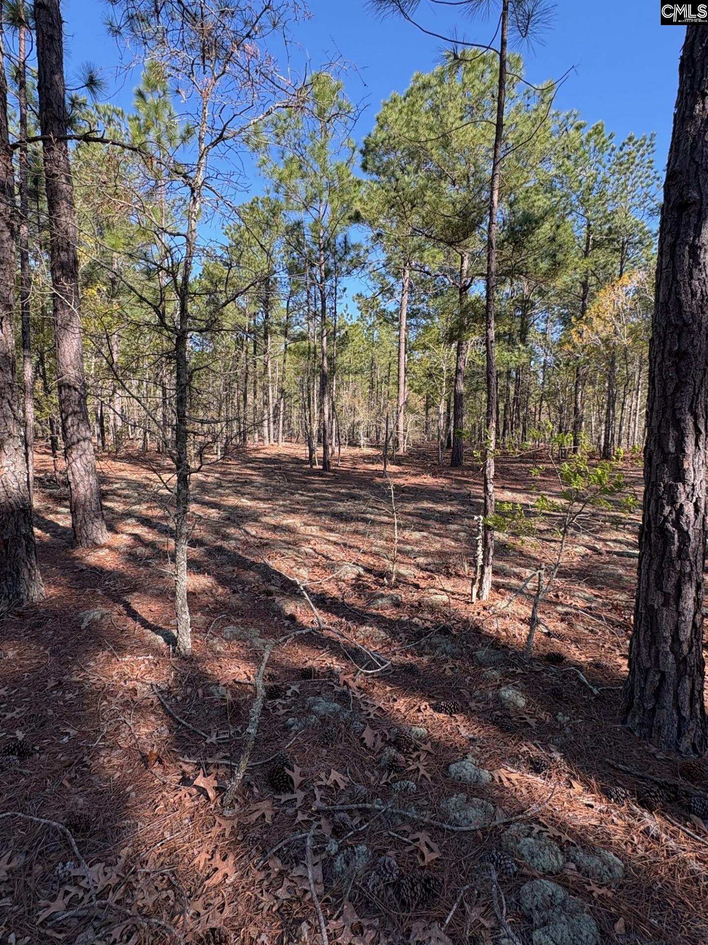0 East Old Camden Road Hartsville, SC 29550 - Photo 2 of 10