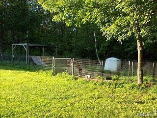 641 North Blacks Corners Road Imlay City, MI 48444 - Photo 8 of 10 Goats