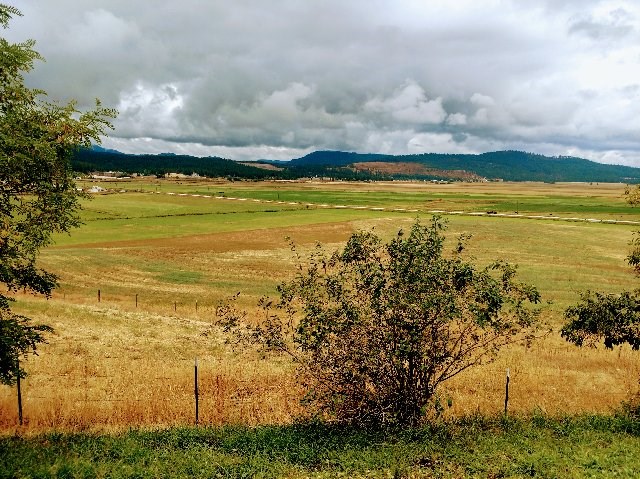 Xx Farm To Market Road Valley, WA 99181 - Photo 1 of 4