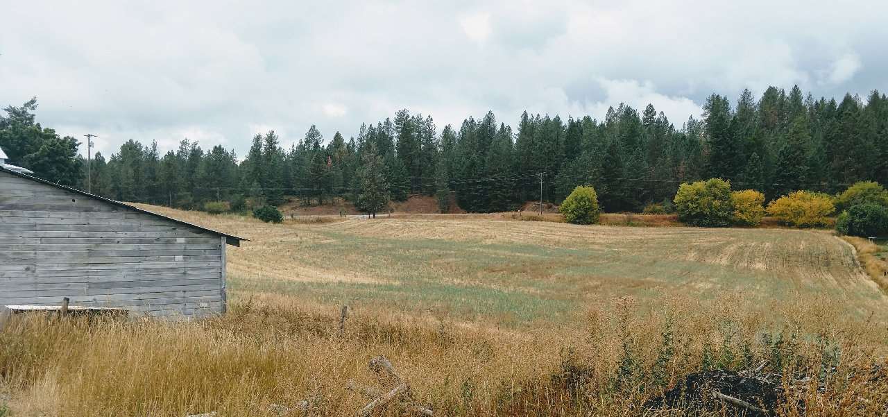Xx Farm To Market Road Valley, WA 99181 - Photo 3 of 4
