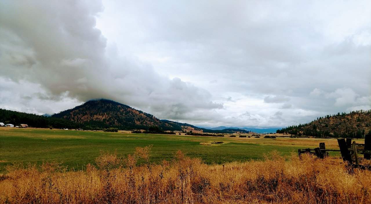 Xx Farm To Market Road Valley, WA 99181 - Photo 4 of 4