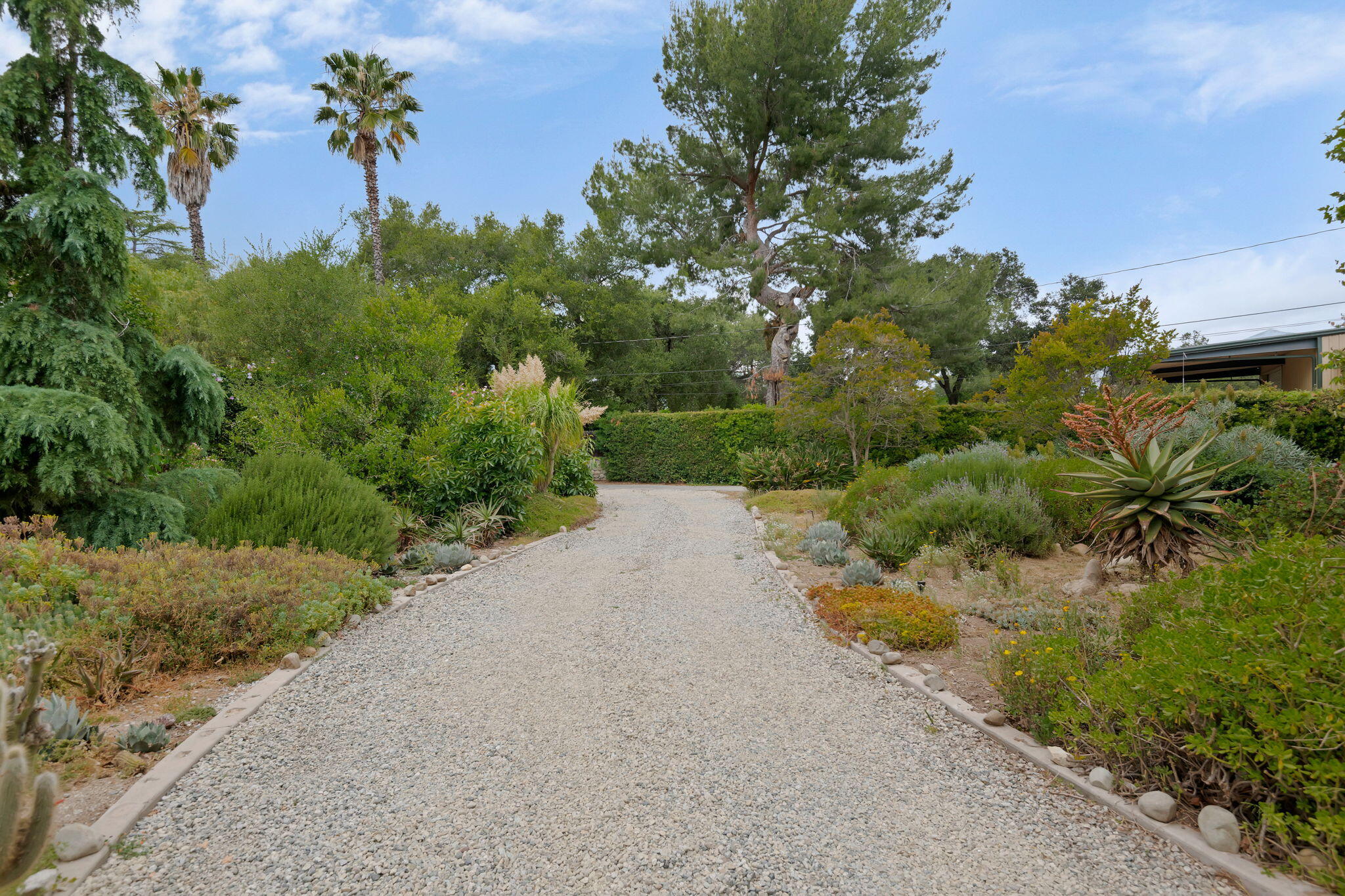 1442 South Rice Road Ojai, CA 93023 - Photo 43 of 54 53-Driveway & Gardens