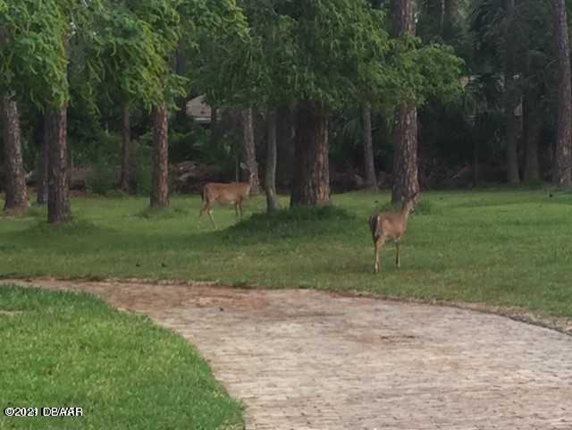 38 Winchester Road Ormond Beach, FL 32174 - Photo 61 of 74 61