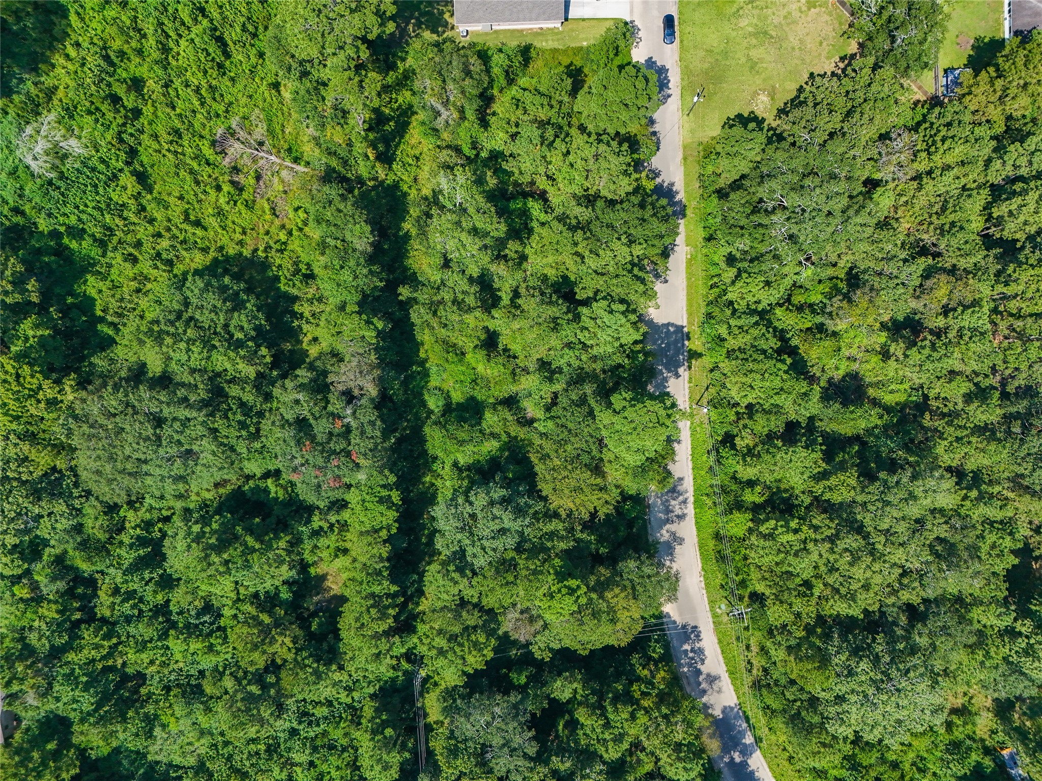 Tbd Tbd Lane Splendora, TX 77372 - Photo 5 of 10