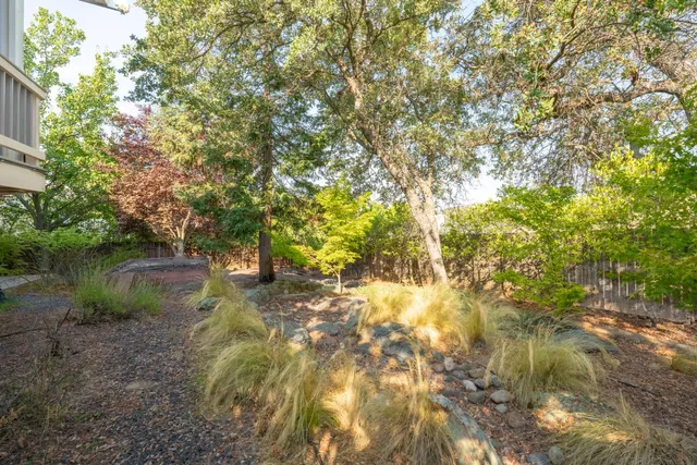 a view of a lake with a tree