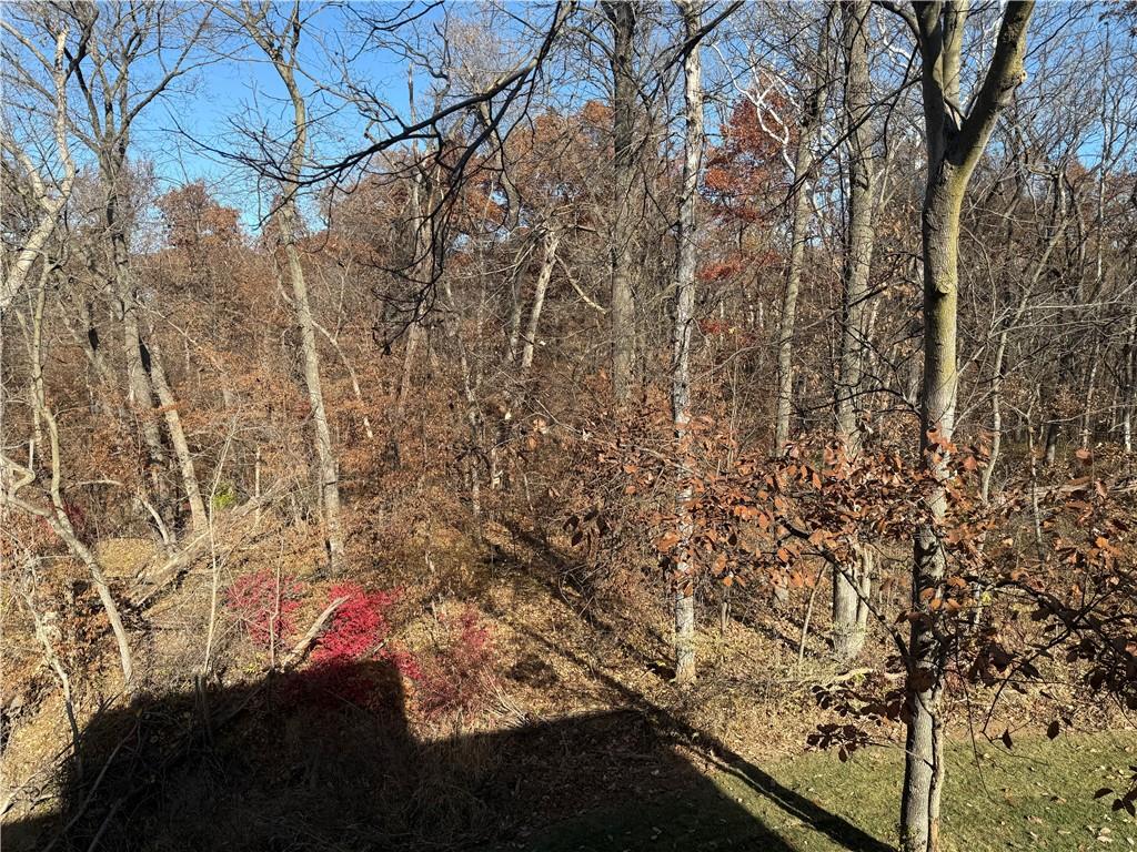 1300 Melissa Court Kearney, MO 64060 - Photo 39 of 40