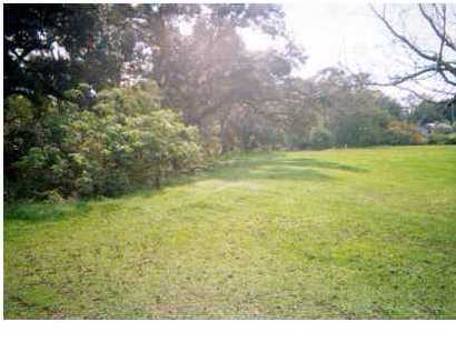 0 Zothique Road Lafayette, LA 70508 - Photo 2 of 3 Additional Photo