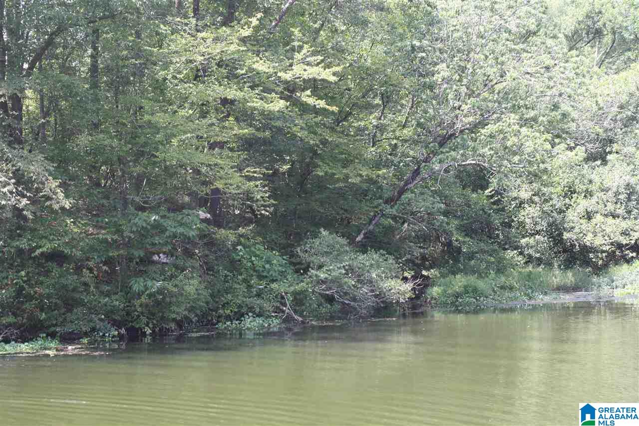 Franklin Ferry Road, Unit 17 Oakman, AL 35579 - Photo 15 of 22