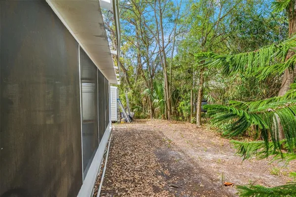 a view of a backyard