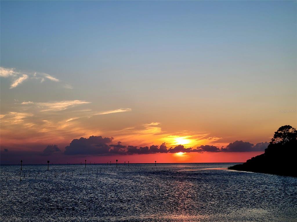 4489 Fishman Avenue Weeki Wachee, FL 34607 - Photo 25 of 29 a view of a yard