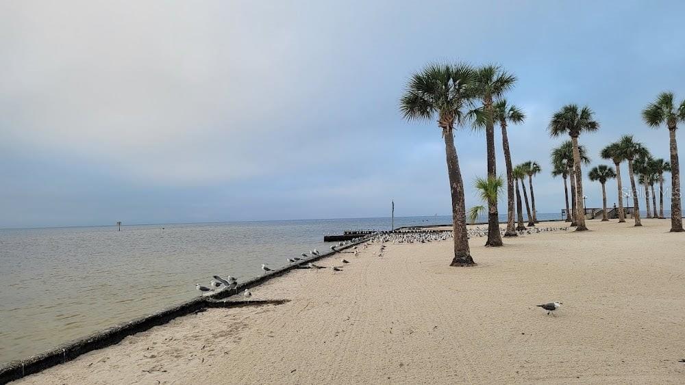 4489 Fishman Avenue Weeki Wachee, FL 34607 - Photo 28 of 29 a view of beach and ocean view