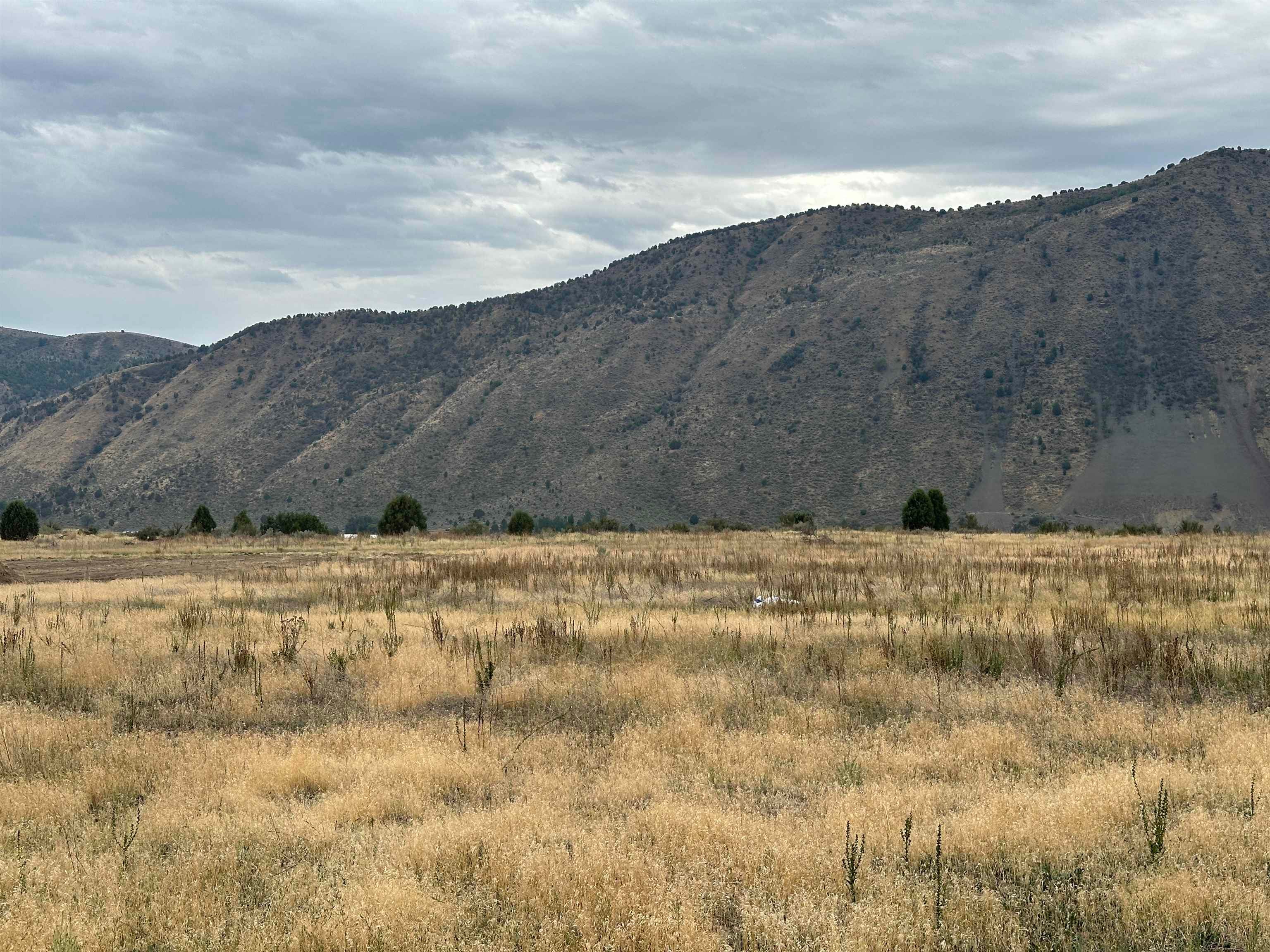 Lot 4 Utah Drive Inkom, ID 83245 - Photo 4 of 7 Gallery Image 4