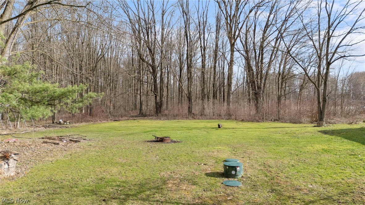 1835 Windham Road Newton Falls, OH 44444 - Photo 33 of 40 View of green lawn