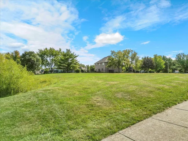 a view of a grassy field with an trees