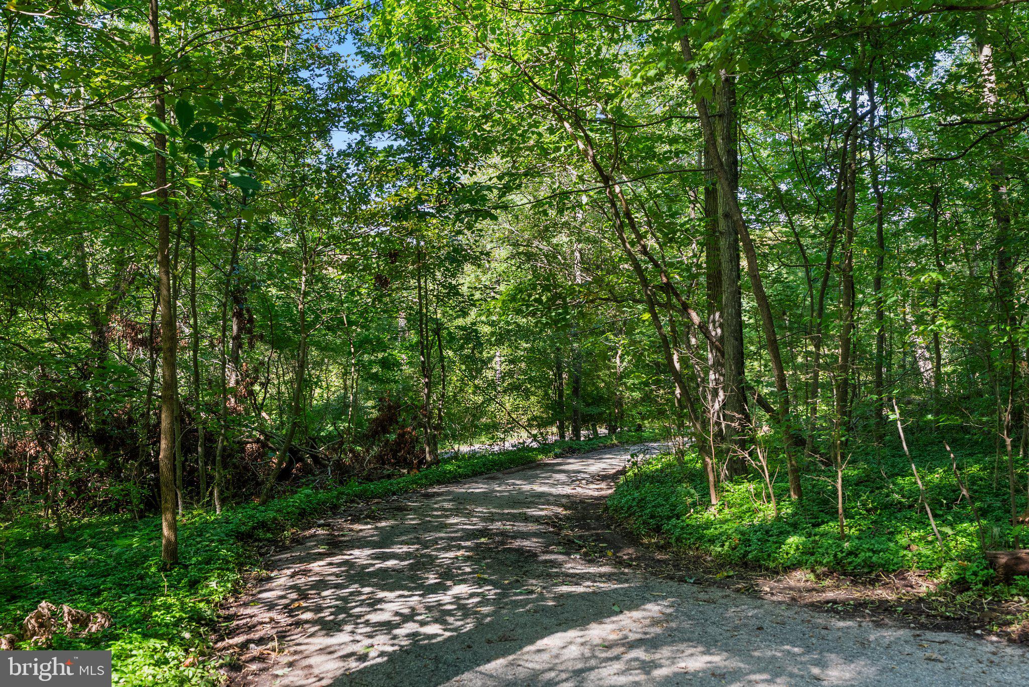 19201 Tyson Road White Hall, MD 21161 - Photo 2 of 47 Gallery Image 2