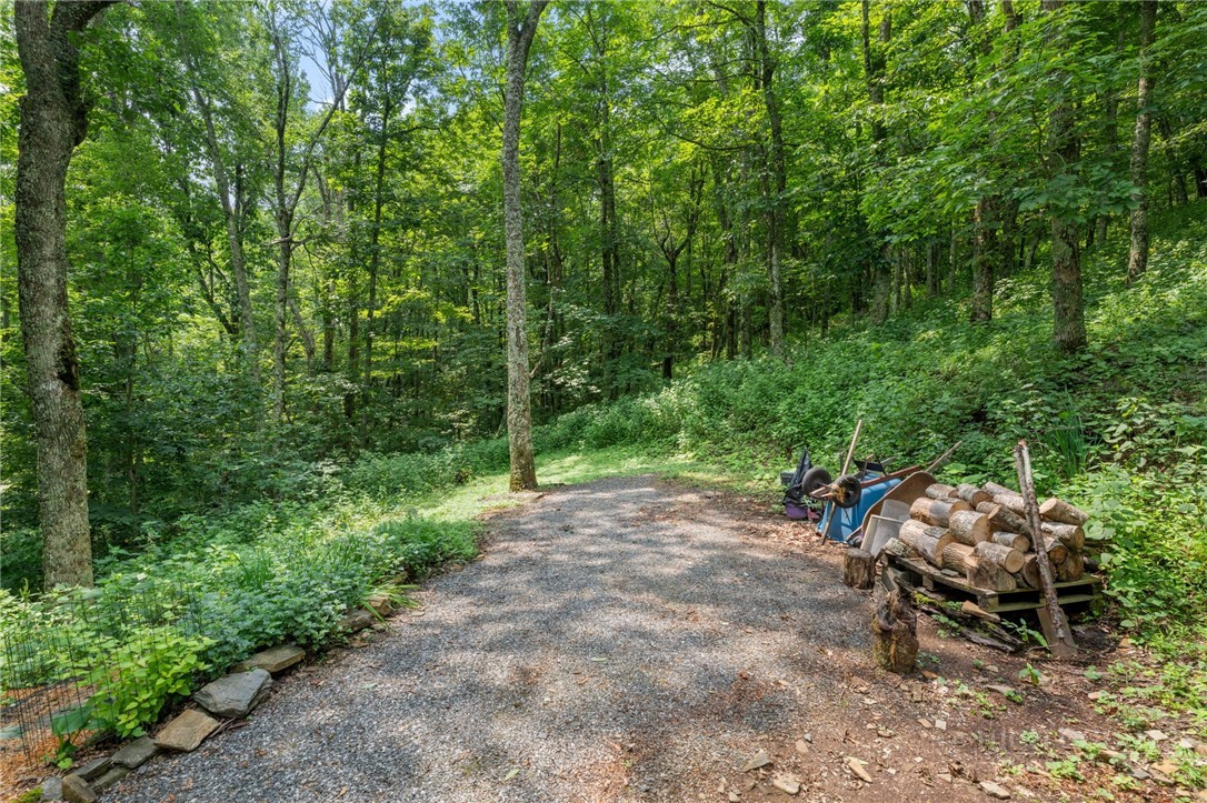 185 Harper Trail Boone, NC 28607 - Photo 33 of 47 Gallery Image 33