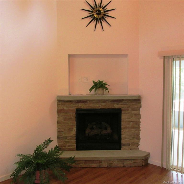 316 Plank Road Peachland, NC 28133 - Photo 5 of 24 Gallery Image 5