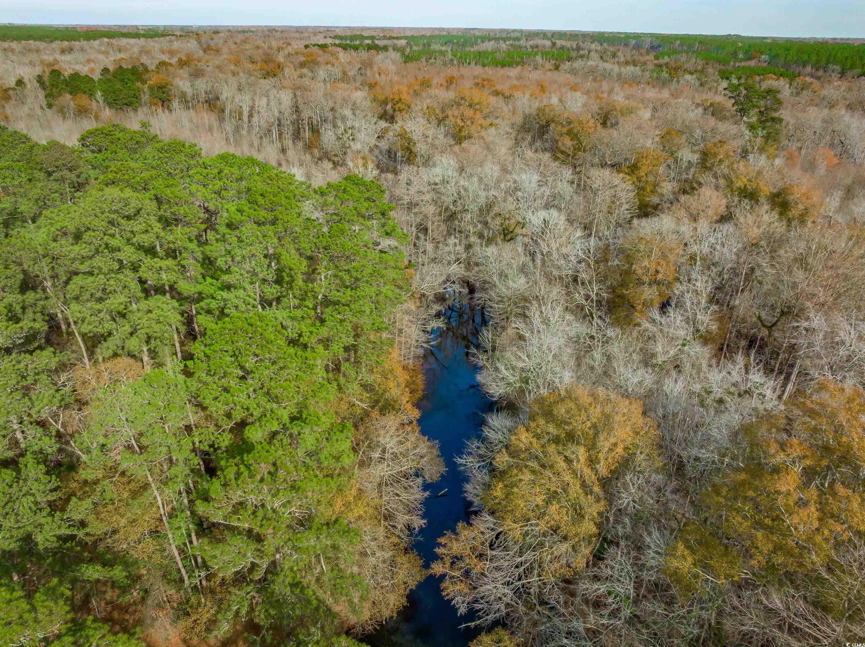 Ridge Court Little Rock, SC 29567 - Photo 11 of 13