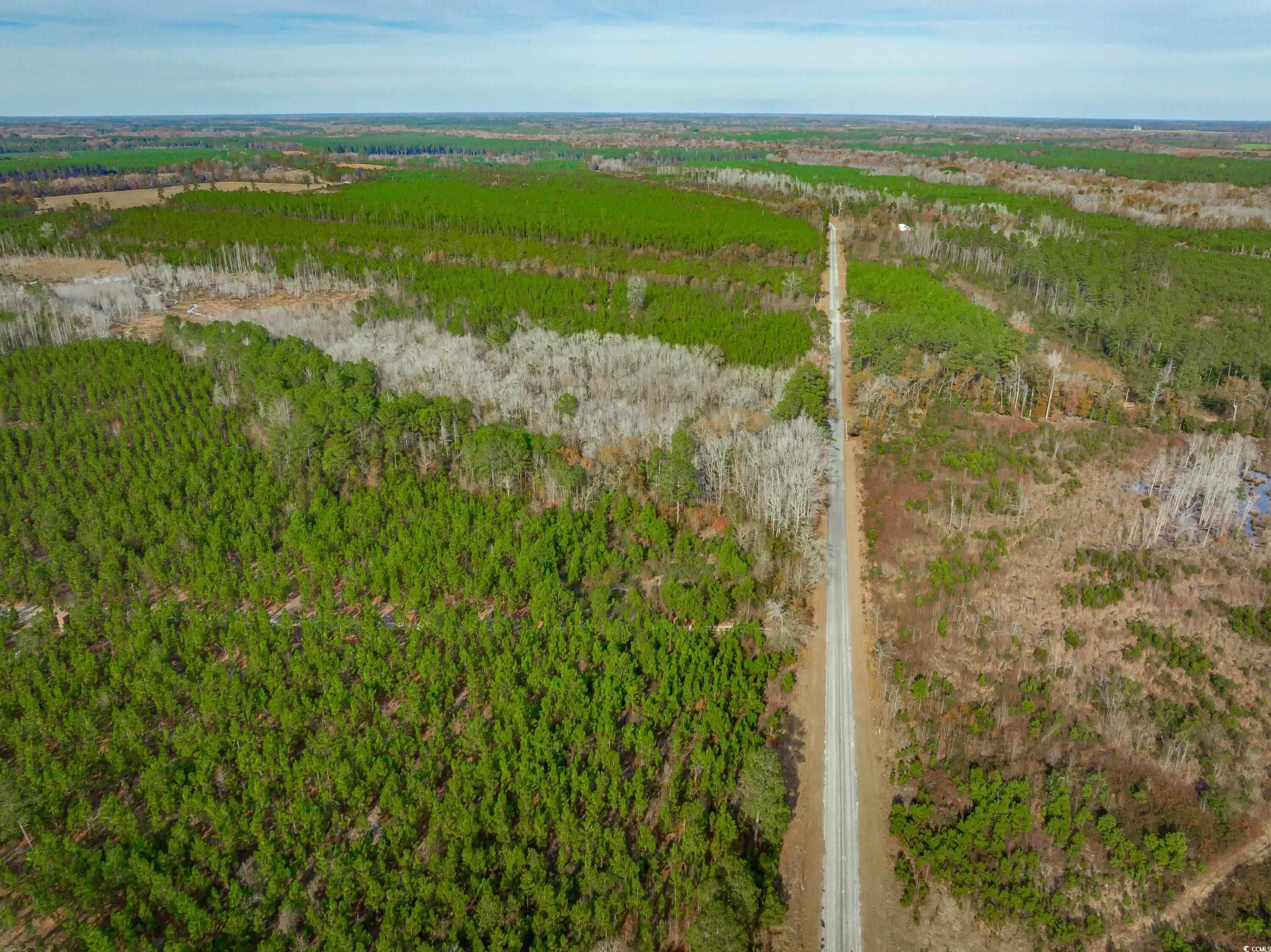 Ridge Court Little Rock, SC 29567 - Photo 6 of 13