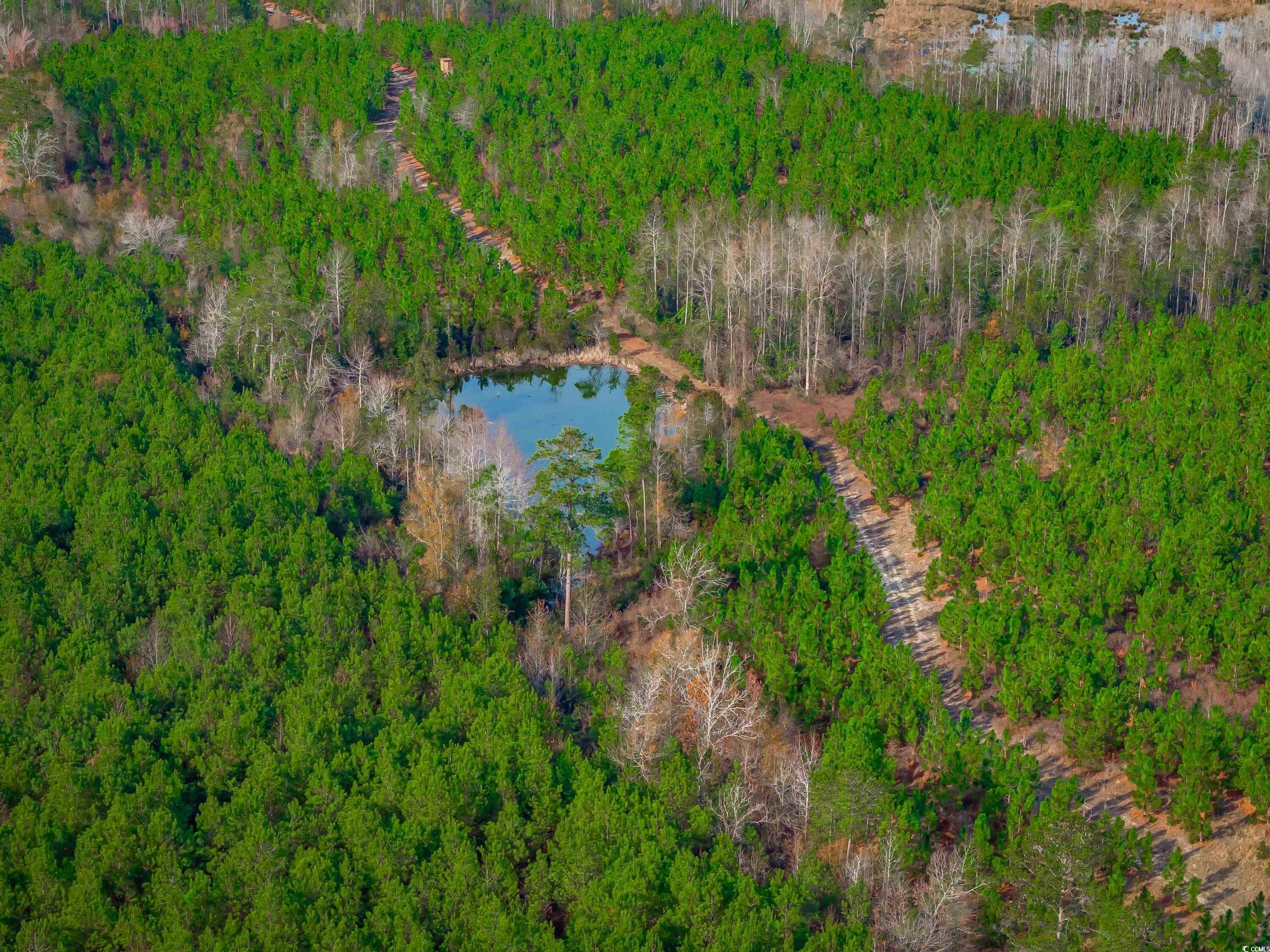 Ridge Court Little Rock, SC 29567 - Photo 8 of 13