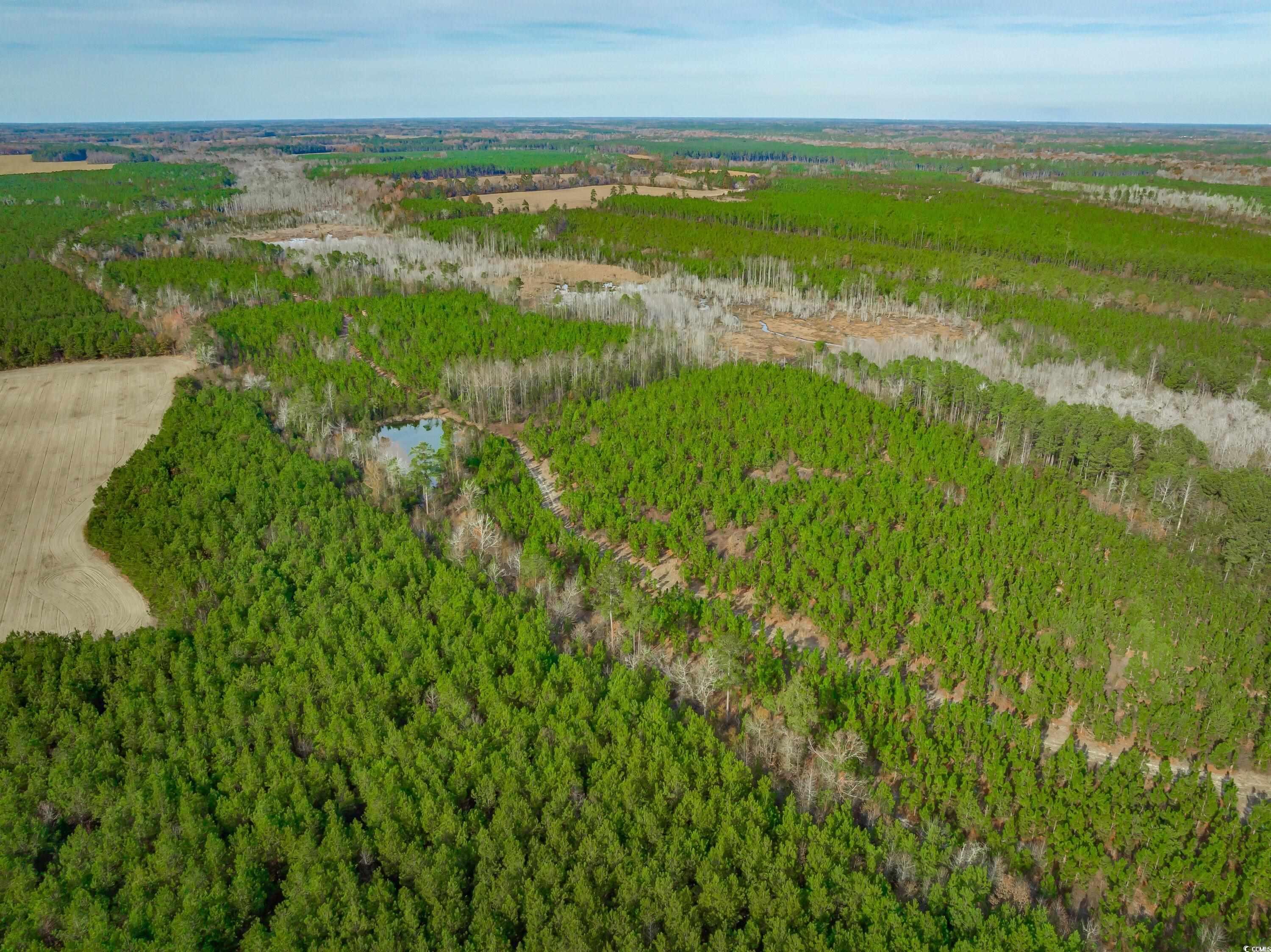 Ridge Court Little Rock, SC 29567 - Photo 9 of 13