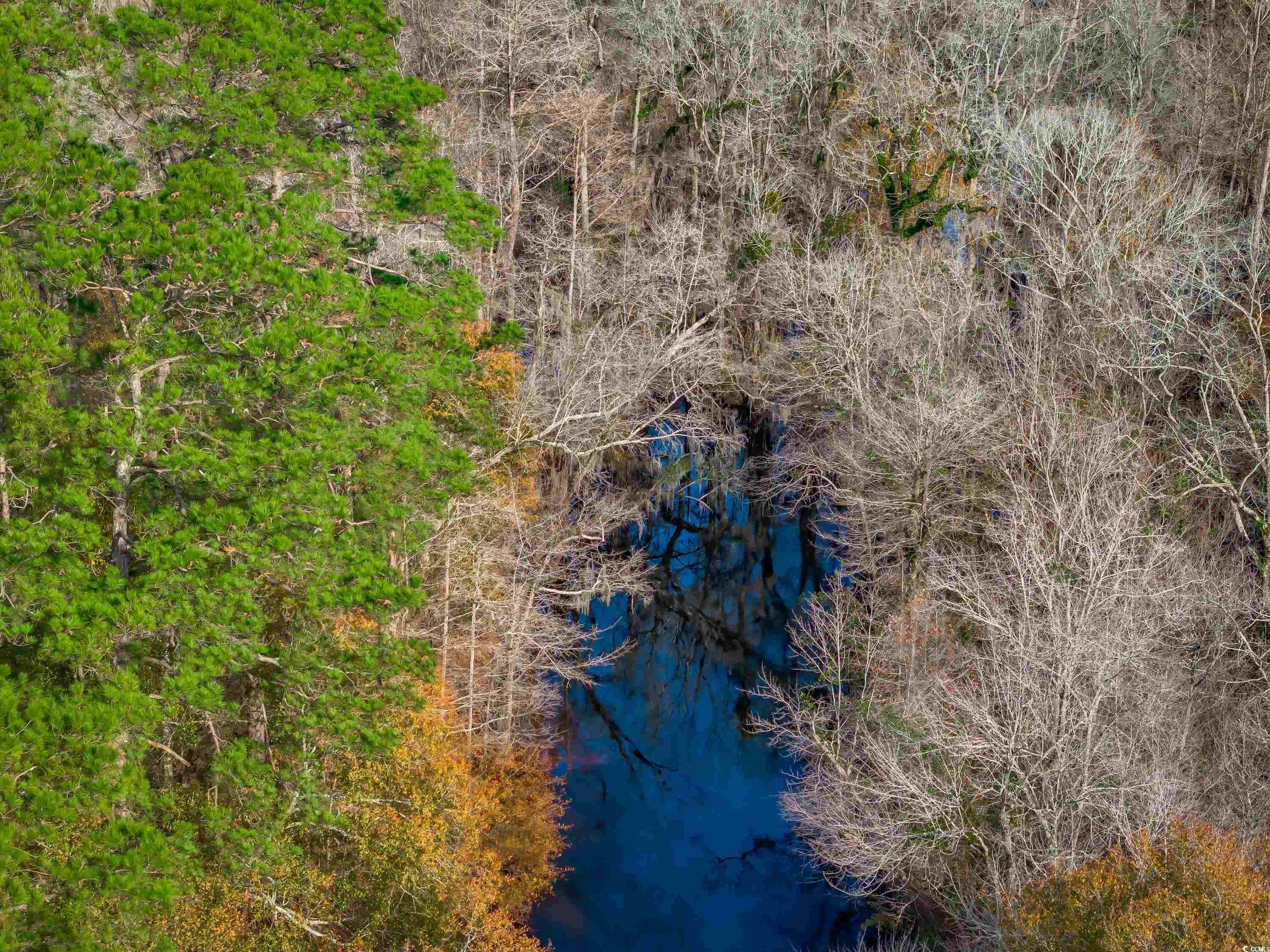 Ridge Court Little Rock, SC 29567 - Photo 10 of 13