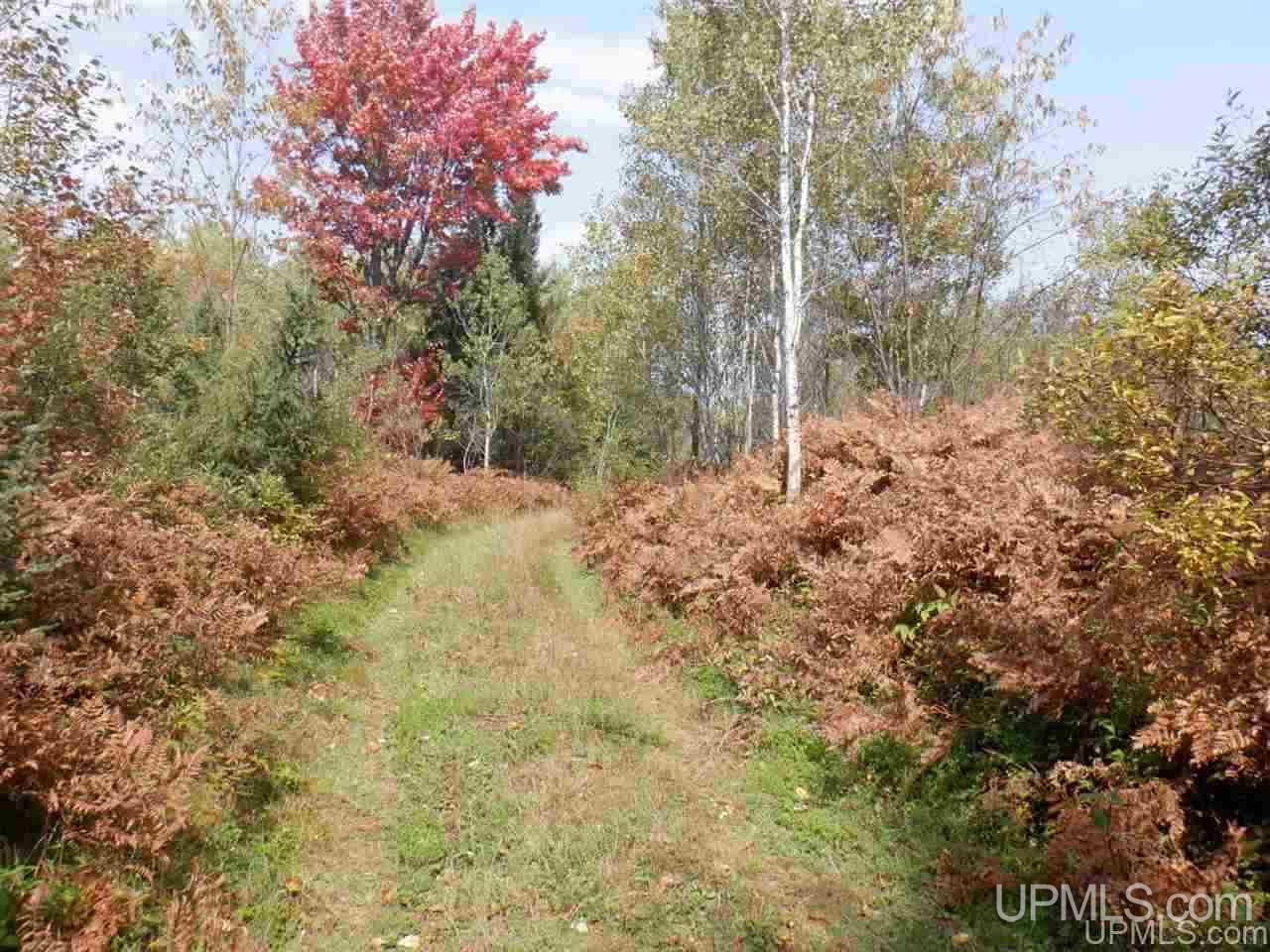 Tbd Bone Lake Road Amasa, MI 49903 - Photo 24 of 29