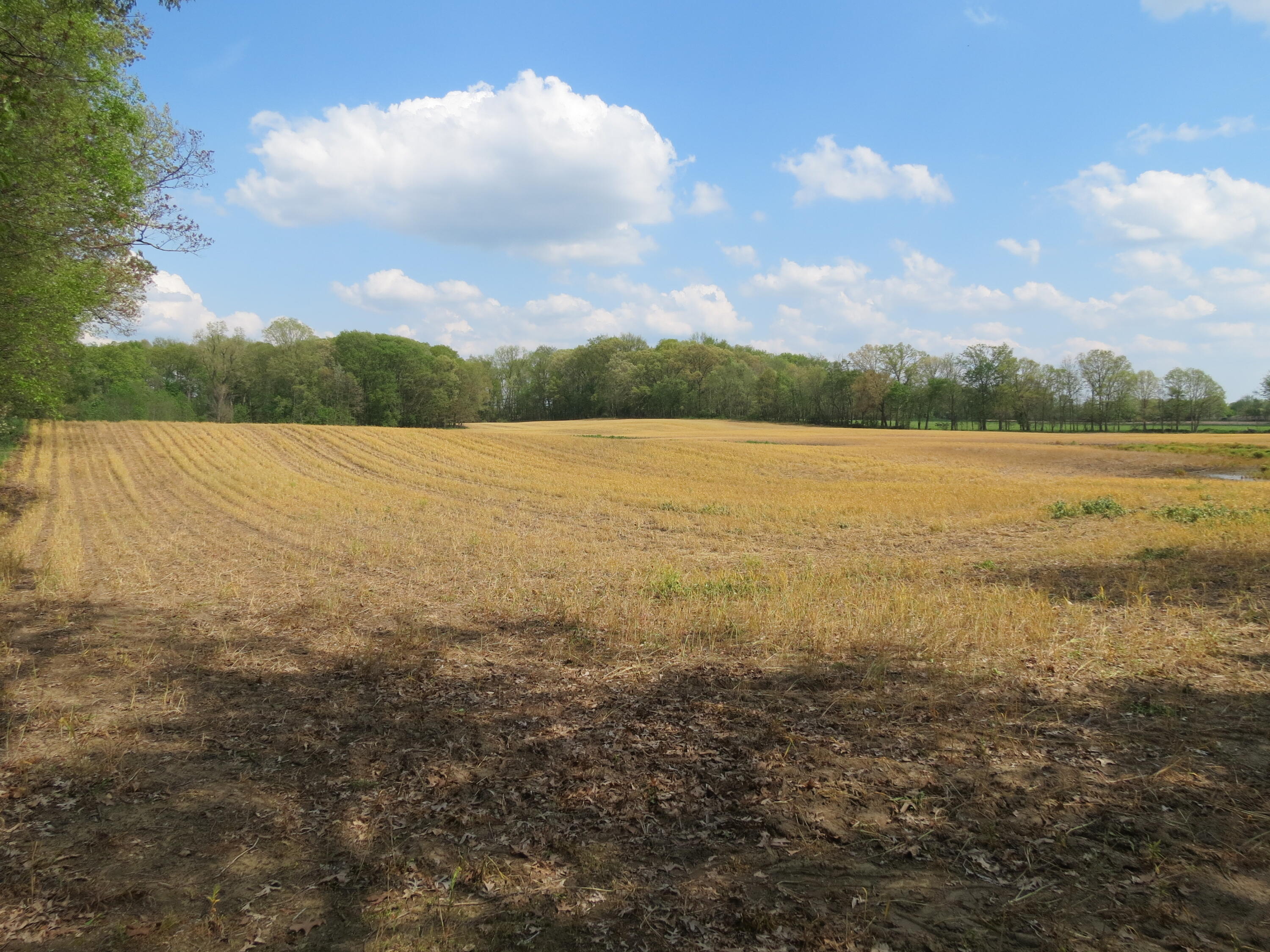 South Stony Lake Road, Unit A Jackson, MI 49201 - Photo 16 of 39 IMG_4230 - Copy - Copy - Copy
