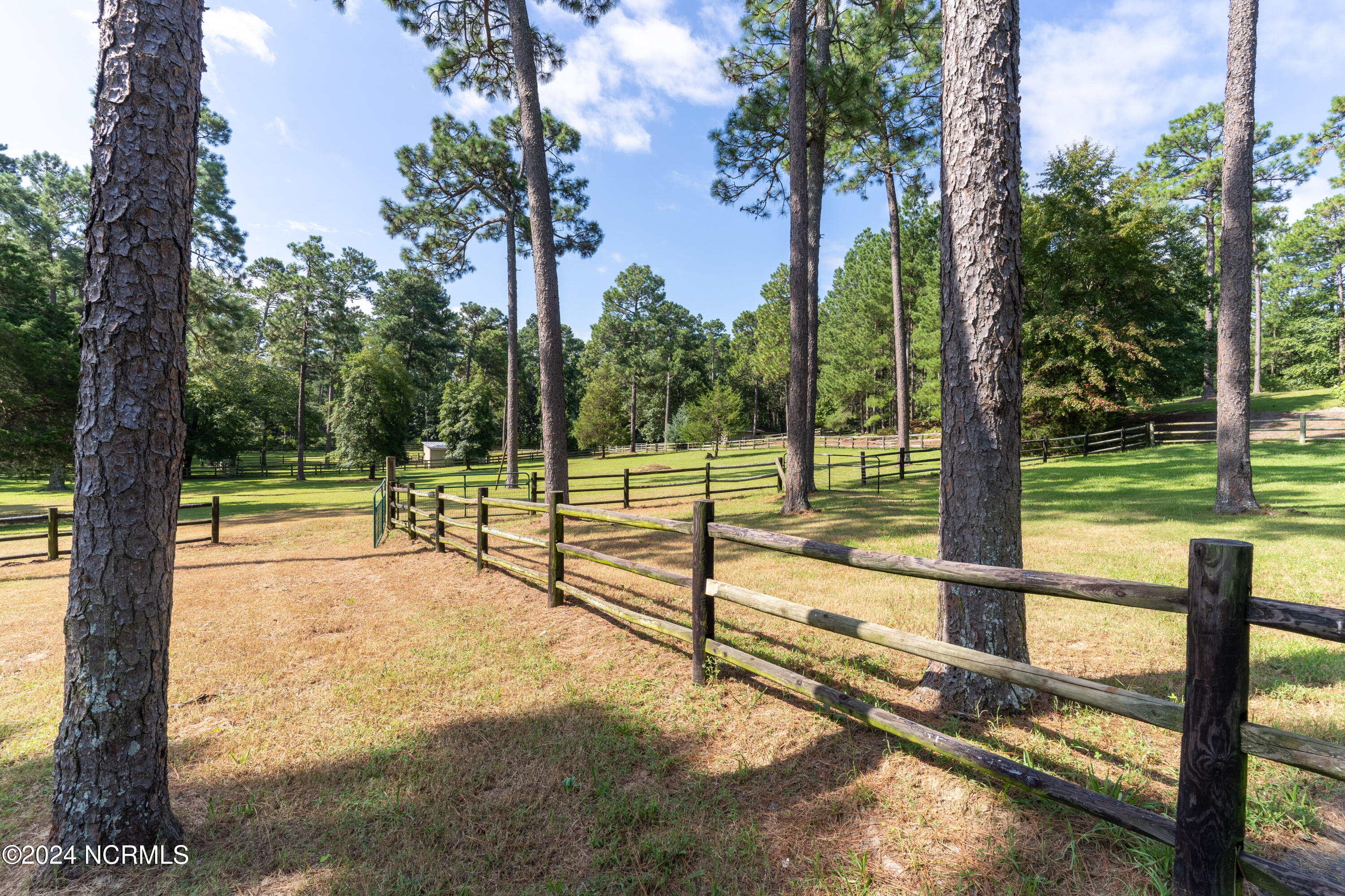 3305 Youngs Road Southern Pines, NC 28387 - Photo 69 of 87 DSC00079-HDR