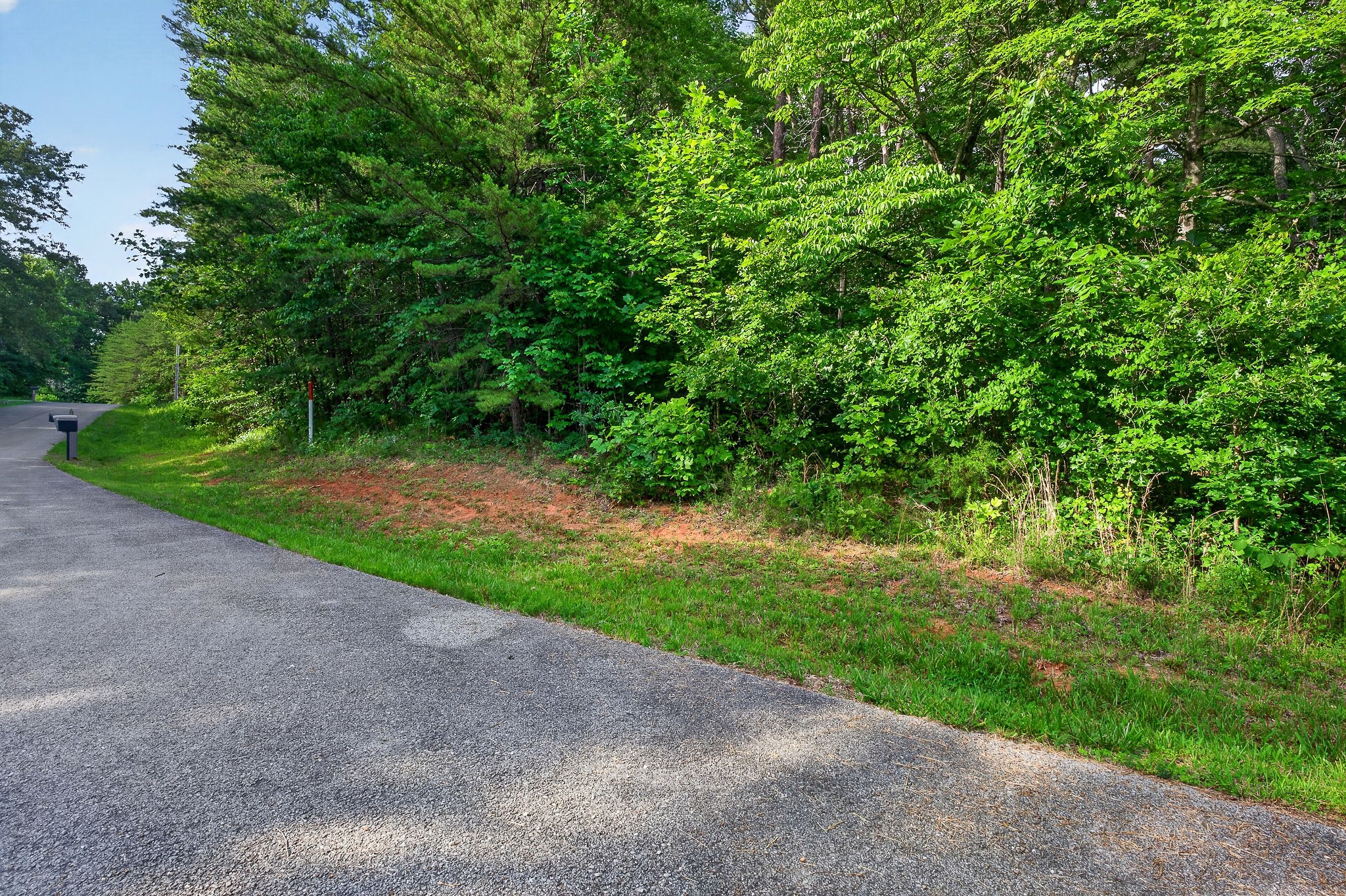 0 Simmons Cemetery Road Quebeck, TN 38579 - Photo 6 of 18