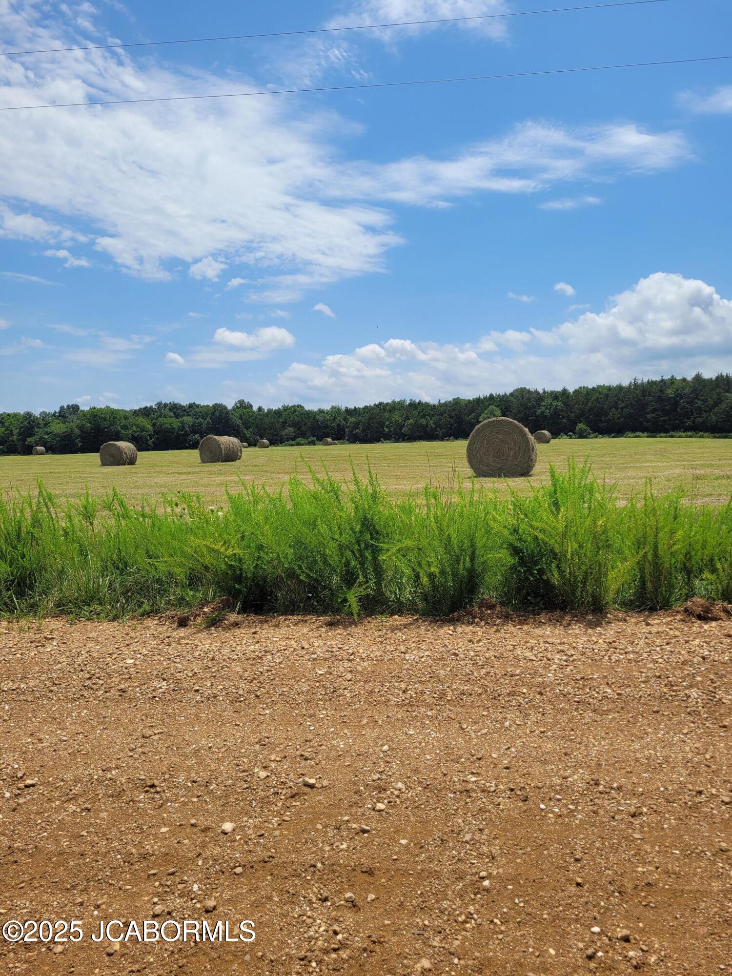 Lot 3 Co Road Flemington, MO 65650 - Photo 4 of 8