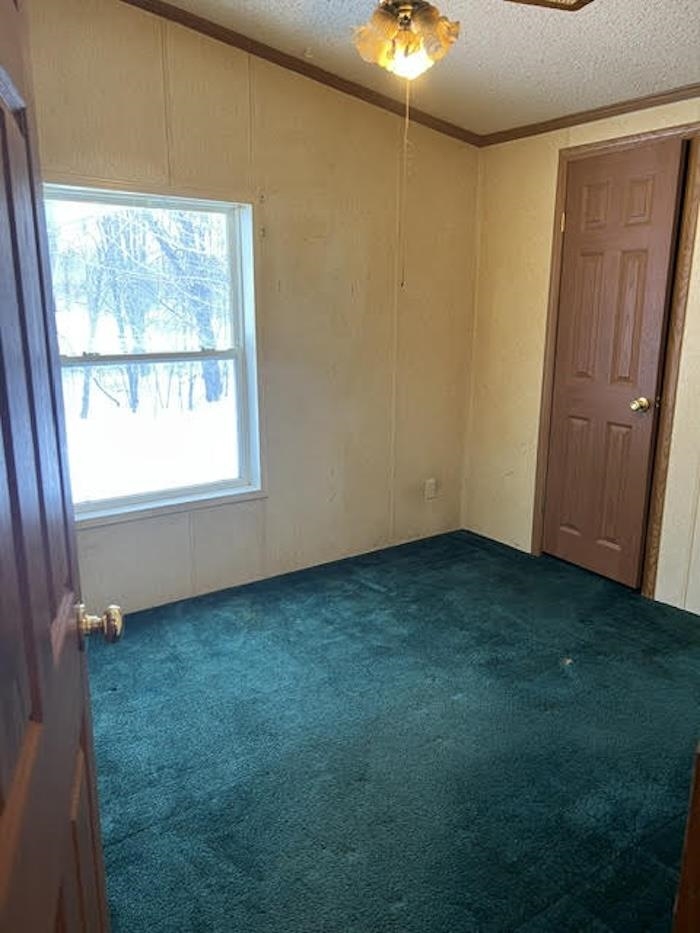 W4817 Chrissie Circle Shawano, WI 54166 - Photo 17 of 24