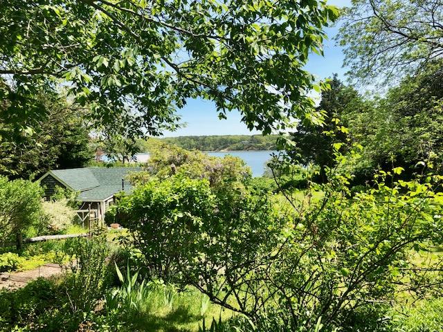 3 Hines Point Road Vineyard Haven, MA 02568 - Photo 8 of 10 Gallery Image 8