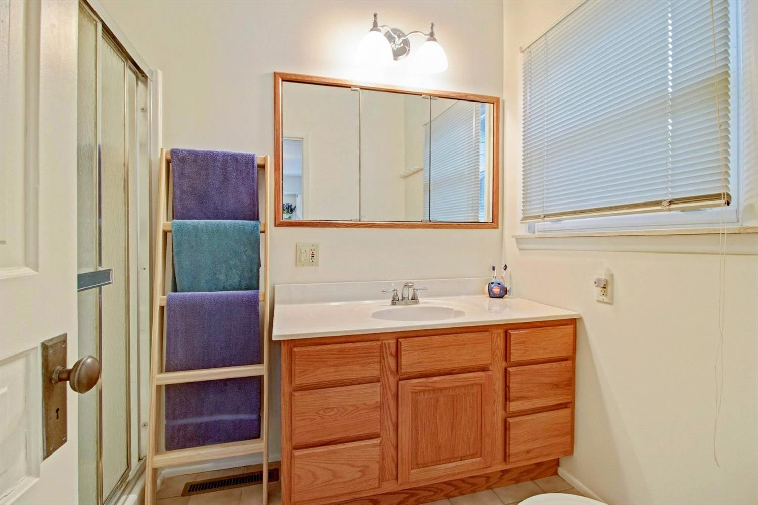 946 Ridge Court Chelsea, MI 48118 - Photo 19 of 55 Photo 19