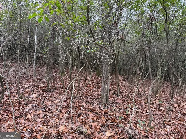 $39,900 | Lot 23 Ideal Acres, Otto, NC 28763