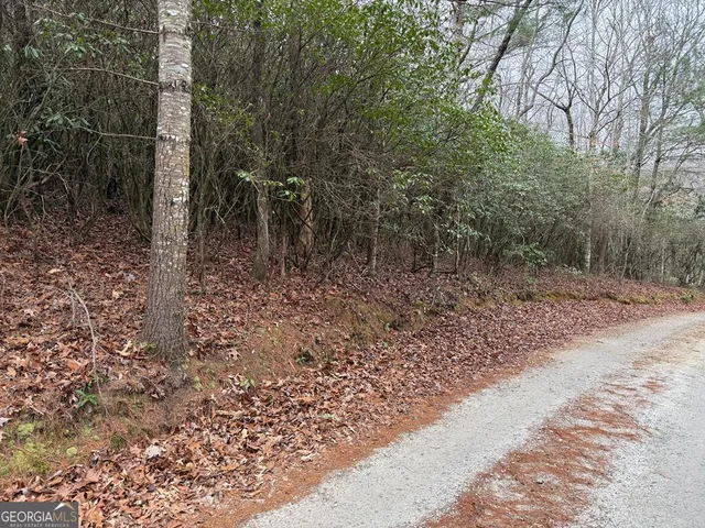 $39,900 | Lot 23 Ideal Acres, Otto, NC 28763