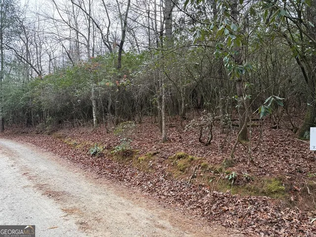$39,900 | Lot 23 Ideal Acres, Otto, NC 28763