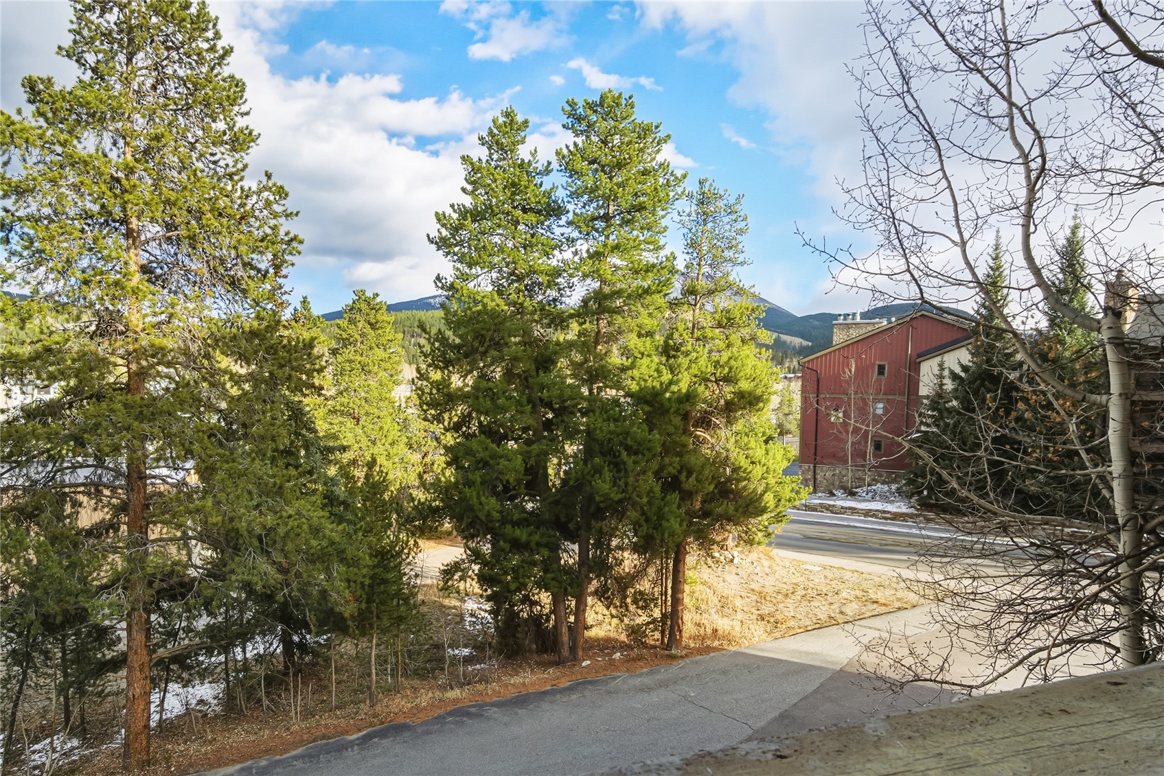 350 4 O Clock Road, Unit D Breckenridge, CO 80424 - Photo 30 of 42