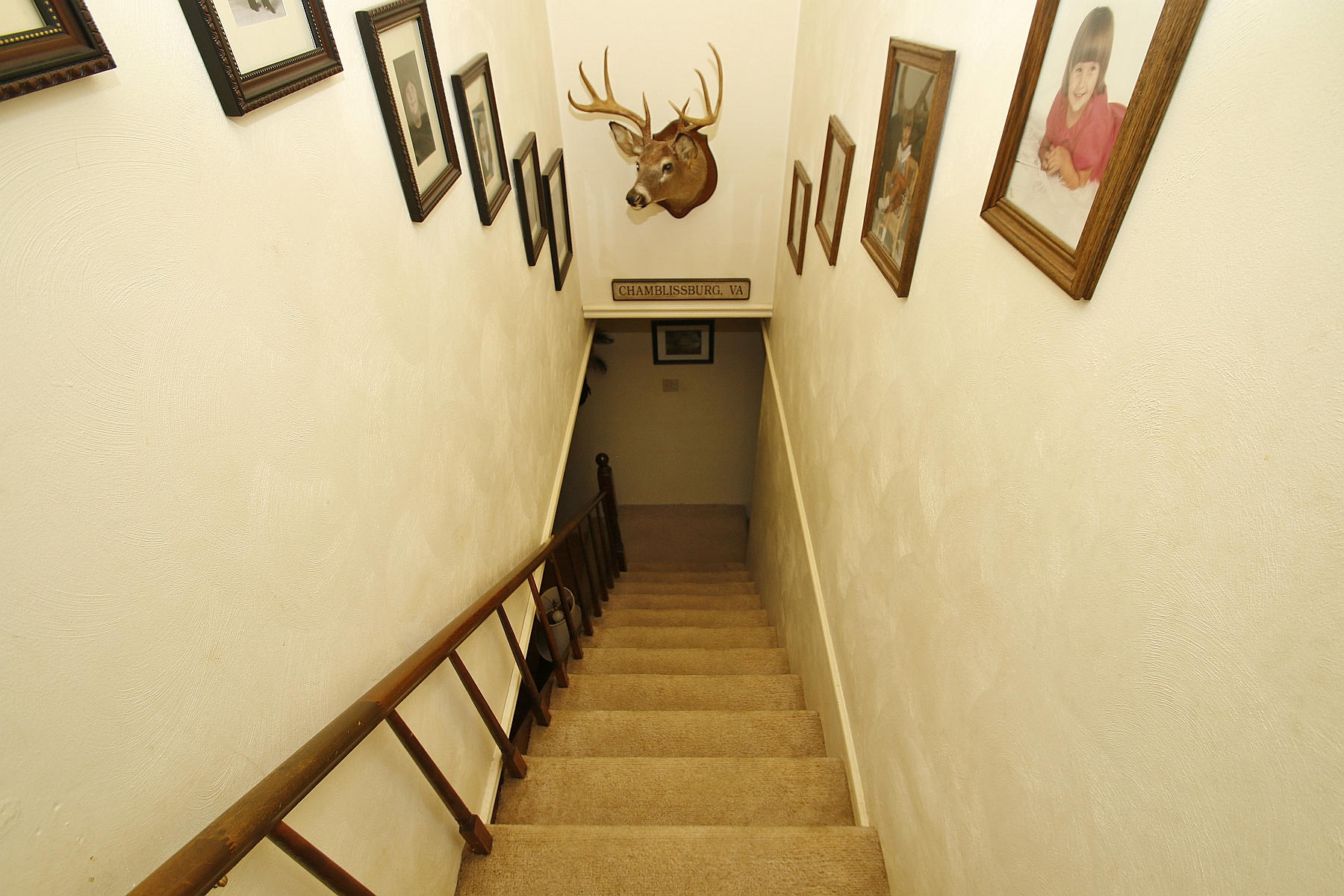 1883 Mill Iron Road Goodview, VA 24095 - Photo 35 of 56 a view of stairs