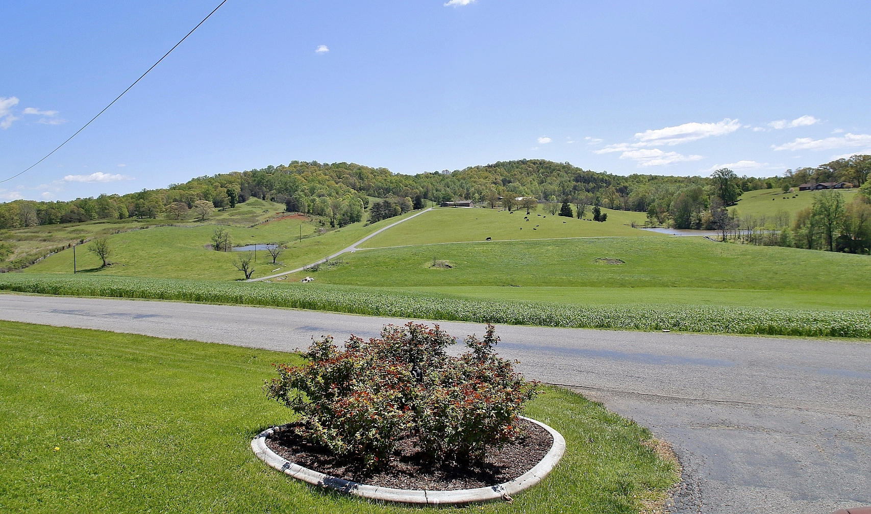 1883 Mill Iron Road Goodview, VA 24095 - Photo 51 of 56 a view of a big yard with palm trees