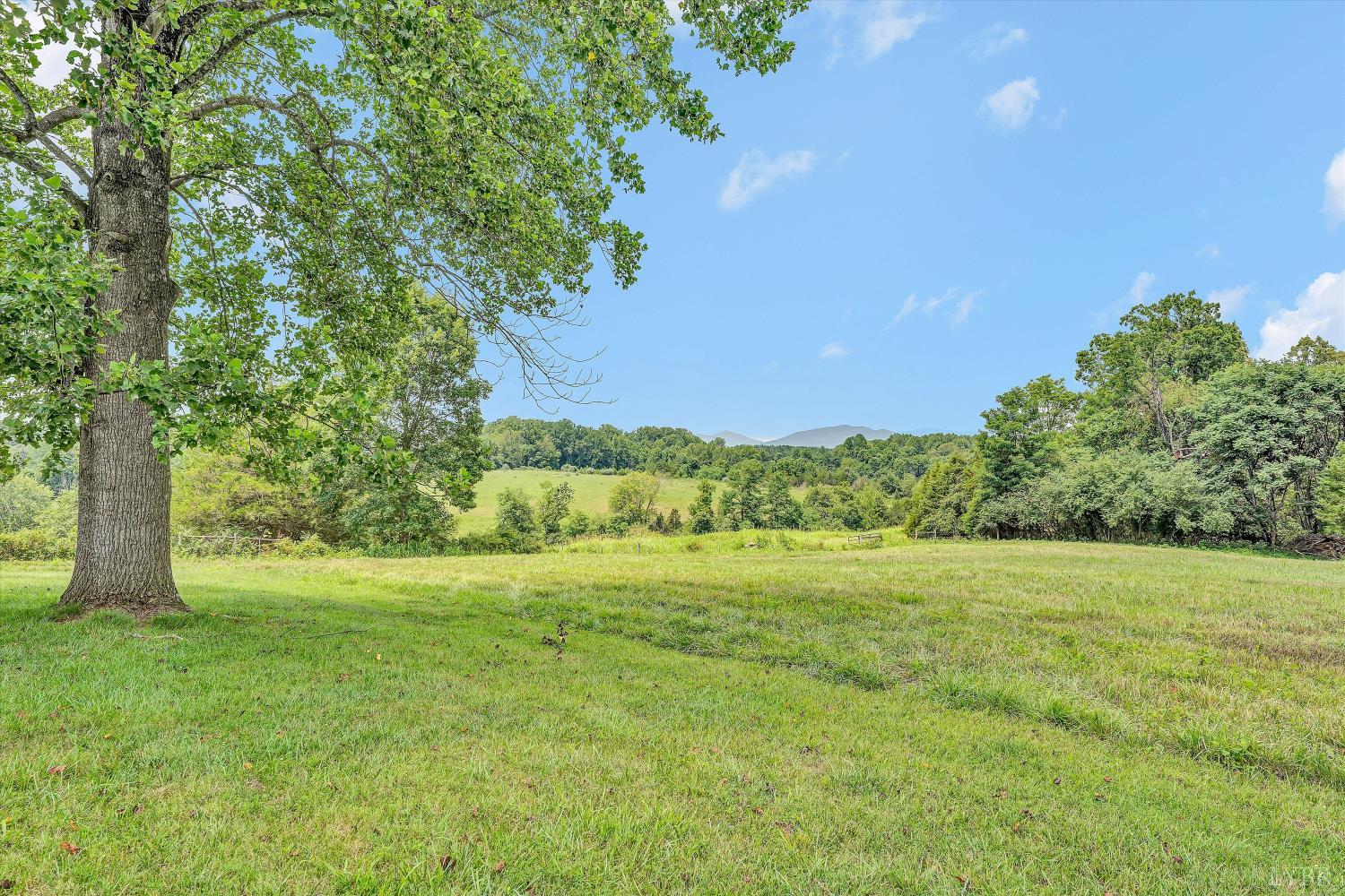 1198 Gumtree Road Forest, VA 24551 - Photo 29 of 52 Gallery Image 29