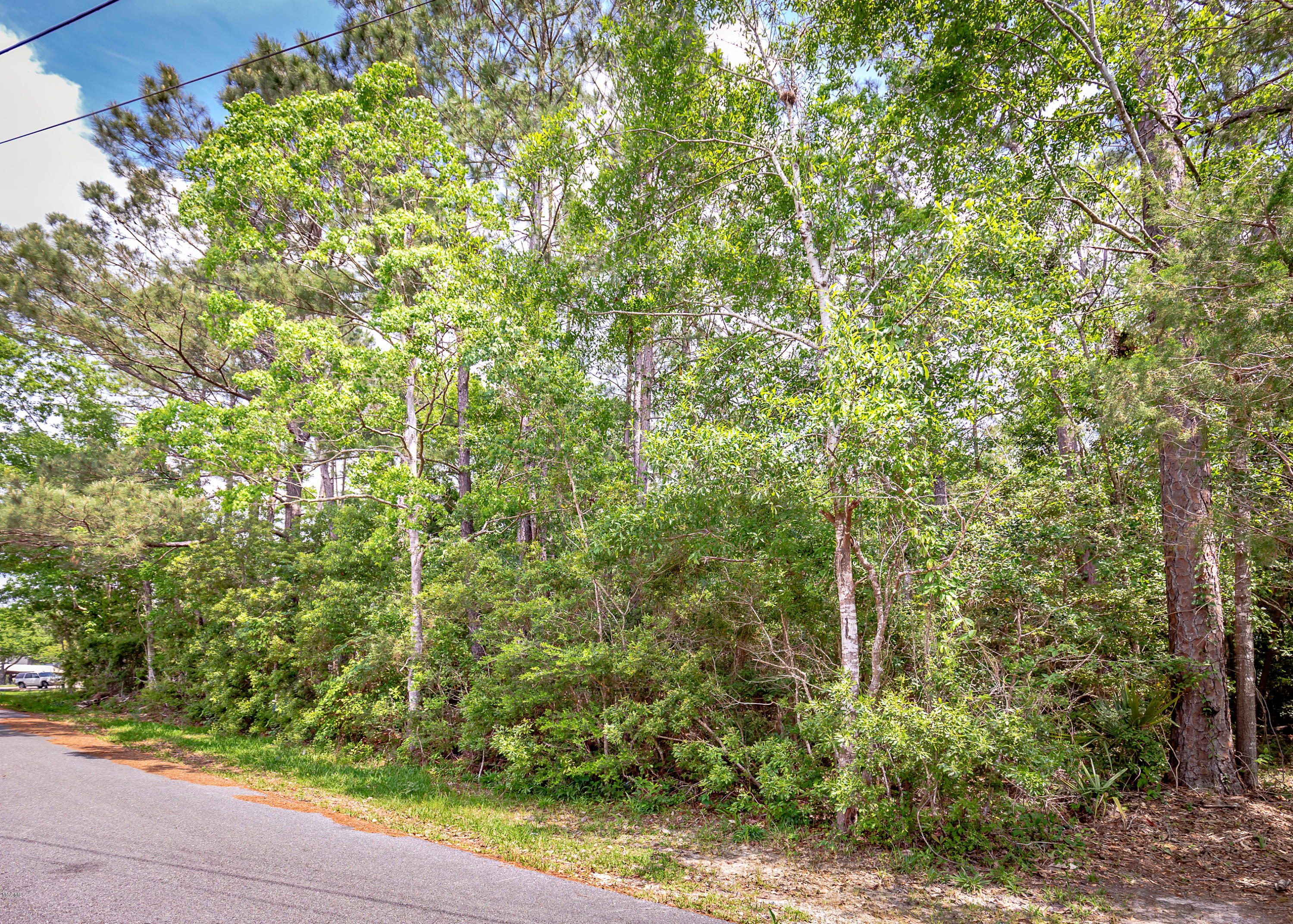 Lot 15 Porteaux Road Ocean Springs, MS 39564 - Photo 6 of 10 IMG_5483