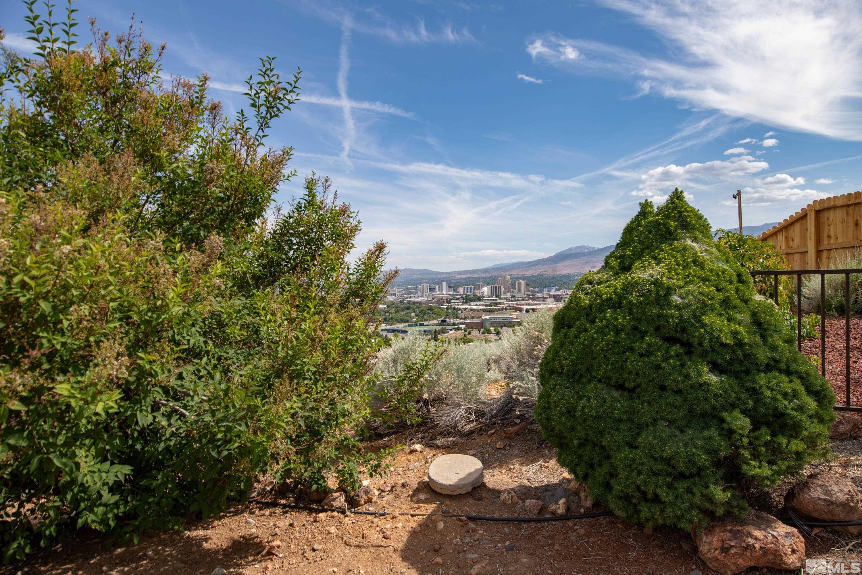 962 University Ridge Court Reno, NV 89512 - Photo 12 of 40 a backyard of a house with lots of green space