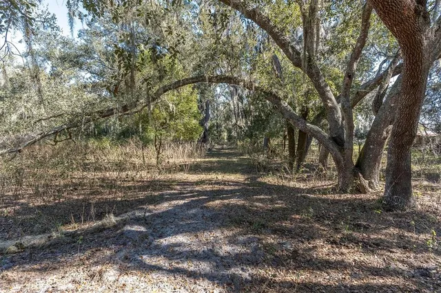 a view of a yard covered with snow in middle of the road