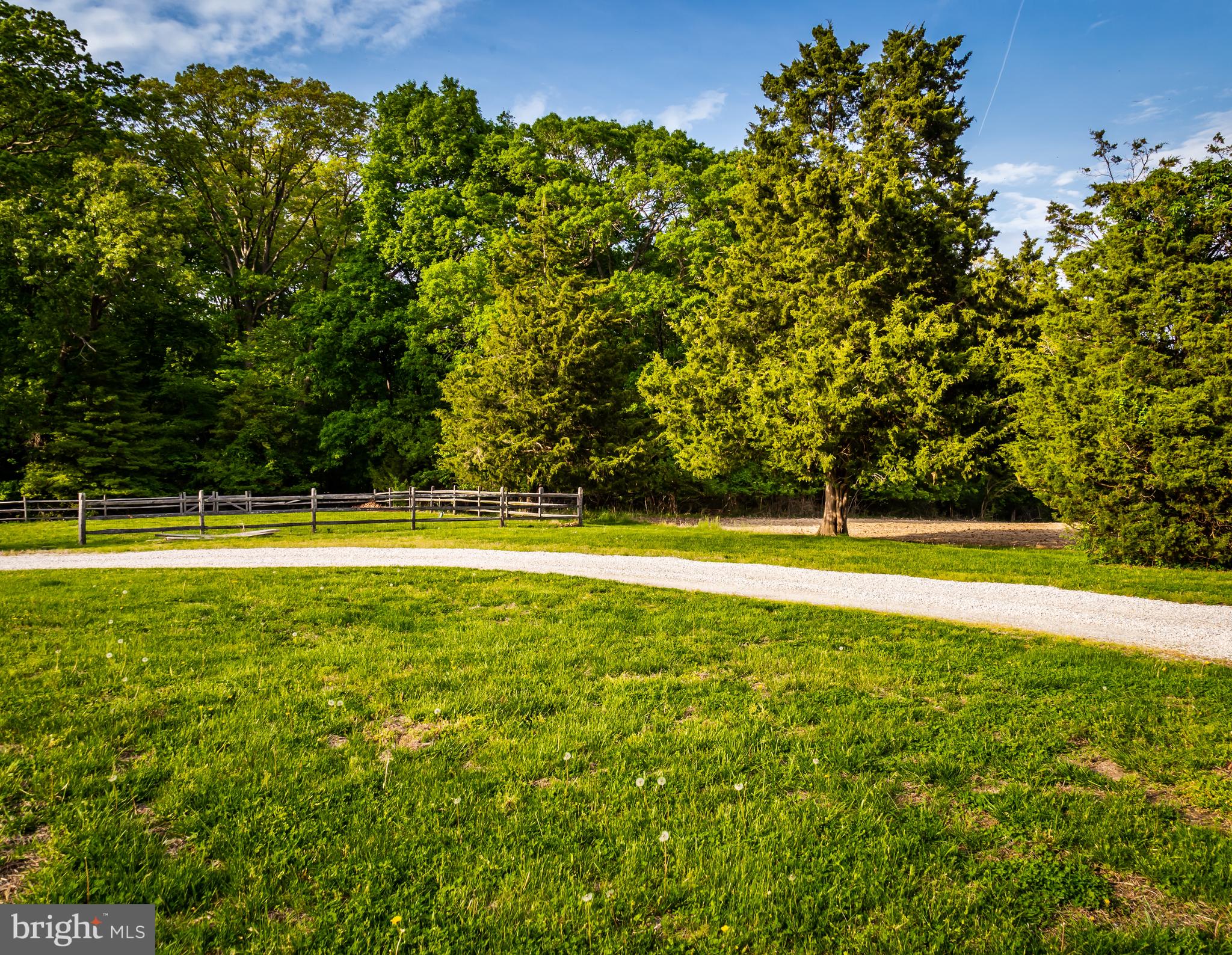 955 Vance Neck Road Middletown, DE 19709 - Photo 21 of 23 Rear Yard