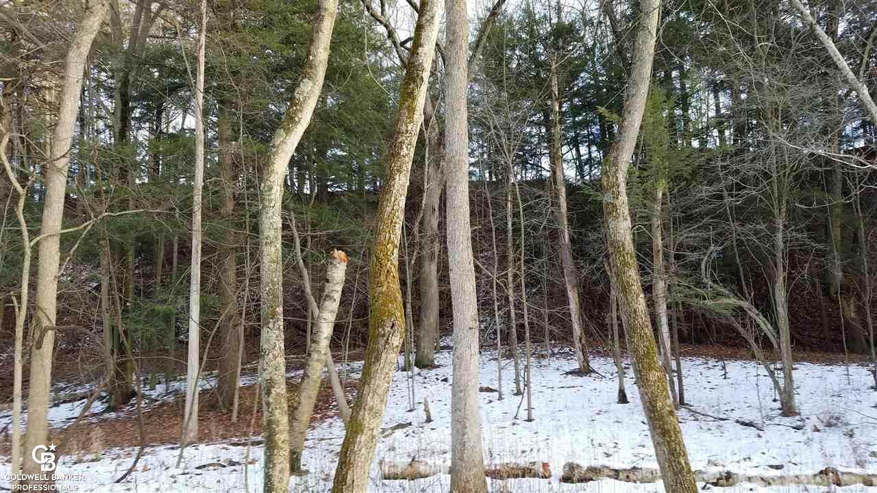 4691 Cribbins Road Avoca, MI 48006 - Photo 31 of 42