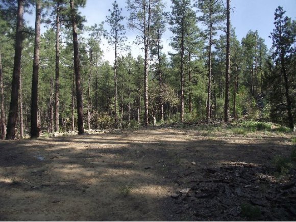0 South Dahlin Road Prescott, AZ 86303 - Photo 1 of 10 Primary Photo